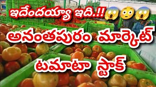 2024 Anantapur tomato market ratestoday tomato market ratestoday Anantapur tomato rates [upl. by Ettesil]