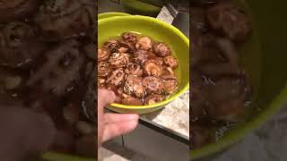 How To Rehydrate Dried Mushrooms Recipes determinationsasmr shorts [upl. by Ieppet238]