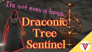 Draconic Tree Sentinel Elden Ring  A noobs guide to Elden Ring [upl. by Nyletak551]