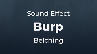 Burp Belch Human Burping Sound Effect  SFX Free for NonProfit Projects [upl. by Aneela]