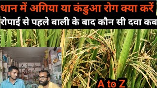 धान में अगिया रोग या कंडुआ रोग से निजात 🤑🤔  रोपाई से पहले रोपाई के बाद  Paddy Seeds Rreatment [upl. by Asnerek]