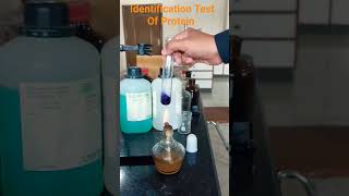 Protein Identification Test Ninhydrin Test [upl. by Nnaecarg]