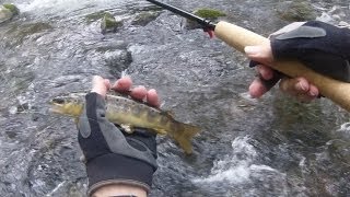 Tenkara Fishing the Oconaluftee River Smoky Mountains NP NC [upl. by Chiquia]