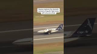 Cape Air flight with a landing gear issue appeared to land safety at Logan Airport in Boston rrair [upl. by Deming]