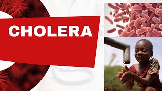 CHOLERA SYMPTOMS amp TREATMENT WHAT YOU NEED TO KNOW 2024 [upl. by Michel]