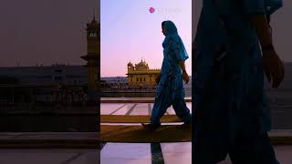 Discover the Golden Temple A Sanctuary of Peace and Unity in Amritsar GoldenTemple youtubeshorts [upl. by Muraida545]