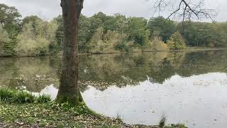 Thorndon Country Park Part 1  Brentwood 🌳 New Adventures [upl. by Wasserman]