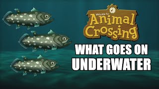 Animal Crossing  What Goes On Underwater [upl. by Barayon]