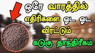 ஒரே வாரத்தில் எதிரிகளை ஓட ஓட விரட்டும் கடுகு தாந்திரீகம்  ethiri sthambanam Manthrigam [upl. by Ennovyahs]