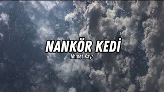 Ahmet Kaya  Nankör kedi [upl. by Nnednarb638]