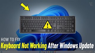 Fix Keyboard Not Working After Update In Windows 1110  How To Solve keyboard Issues after update [upl. by Nelrsa]