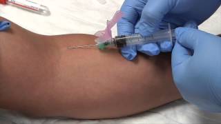 Phlebotomy Syringe Draw Procedure  Blood Collection RxTN [upl. by Eissirk617]