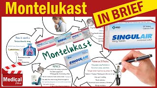 Montelukast 10 mg  Singulair  What is Montelukast Used For Dosage Side Effects amp Precautions [upl. by Aushoj]