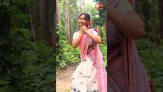 Ane hole nu ke ne hoy Assamese song shrots video [upl. by Shela640]