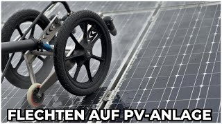 Flechtenentfernung auf PV  wir haben ENDLICH eine LÖSUNG [upl. by Koran]