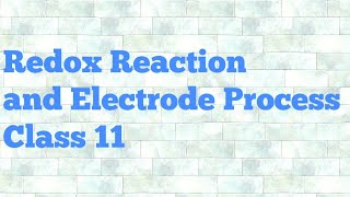 Redox reaction and electrode process in hindi [upl. by Selmner936]