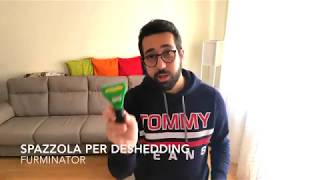 Recensione Spazzola FURMINATOR [upl. by Erastus]