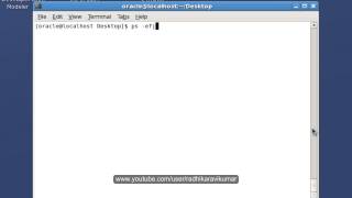 UNIX Processes Command [upl. by Donaugh]