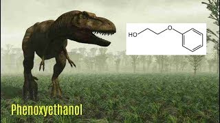 Preservatives 2 Phenoxyethanol  Fun Fast Facts Friday [upl. by Ttocs947]