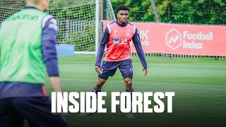 Inside Forest  Preparing for Blackburn [upl. by Amelita]