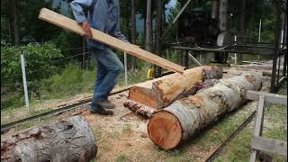 Home made twin blade sawmill in action [upl. by Eggett]