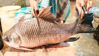 Fish Cutting Expert  Huge Rohu Fish Cutting amp Skinning Skills Live In Bangladesh [upl. by Meg]