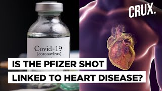 Is Side Effect of Pfizer COVID19 Vaccine Behind Rising Cases of Myocarditis in Israel [upl. by Doroteya]