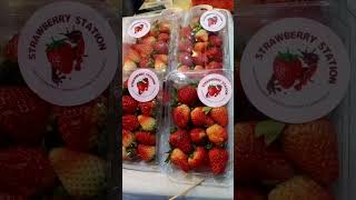 Tanghulu Strawberry Our 1st Try Its Yummy [upl. by Tekcirc]