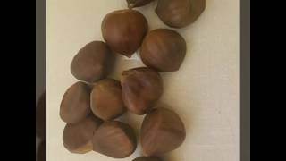 How to roast Chestnuts in the oven [upl. by Erret]