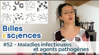 Billes de sciences 52  Tania Louis  Maladies infectieuses et agents pathogènes [upl. by Navad744]