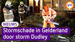 Storm Dudley laat een spoor achter van schade [upl. by February]