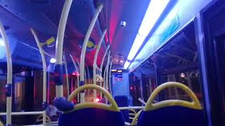 XFE Convert Limp  GAL SE80 On Bus Route 244 Part 2 16 [upl. by Renie]