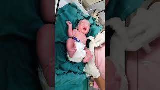 After birth a new baby is fast crying and baby cleaning newborncare [upl. by Analahs509]