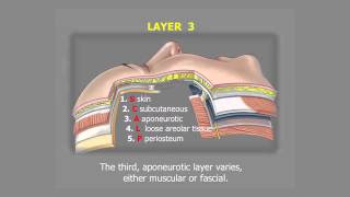 Understanding Facelift Anatomy  Dr Bryan Mendelson [upl. by Temp]