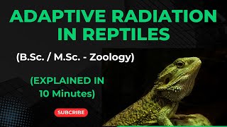 Adaptive Radiation In Reptiles evolution I BSc I MSc 2nd Semester [upl. by Akenaj]