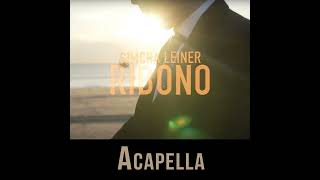 Simcha Leiner  Ribono Acapella [upl. by Gervais398]