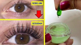 2 RESEP MENEBALKAN ALIS DAN BULU MATA SECARA ALAMI 100 EFEKTIF  SEHAT TUBE [upl. by Attenwad829]