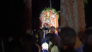 Arehalli sri kariyamma devi hole pooje [upl. by Nwahsat]