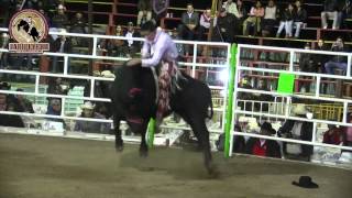 Rancho El Aguaje amp La Cruz En Juliantla Guerrero 3 De Febrero 2015 [upl. by Leifeste28]