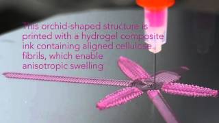 4D Printing Shapeshifting Architecture [upl. by Eelymmij]