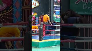 Orangutan Boxing Training in Thailand Please Read Description [upl. by Byler]