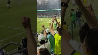 Gol do Palmeiras contra o Cruzeiro na final do campeonato Brasileiro Sub20 [upl. by Eannaj956]