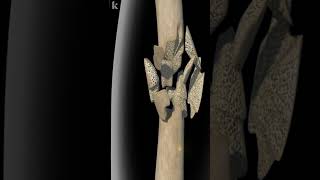 Common Types Of Bone Fracture Explained  3D animation [upl. by Ailuig]