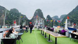 One Day Halong Bay Tour Experience halongbay vietnam travel cruise [upl. by Anaoj]