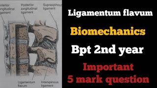 ligamentum flavum biomechanics in tamil ligaments of spinebiomechanics of spinebptbiomechanics [upl. by Ynoep]