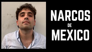 NARCOS DE MEXICO AUDIOLIBRO COMPLETO GRATIS PARA ESCUCHAR VOZ REAL [upl. by Cook742]