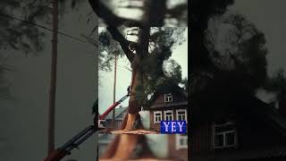 Arborists Narrowly Escape as Tree Falls on House TreeFelling YesEpicYes Chainsawman [upl. by Nevet]