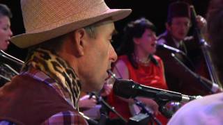 Wellington International Ukulele Orchestra  I Love You Raylene [upl. by Ynoble]