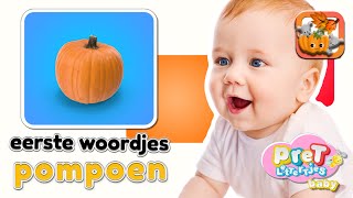 Baby Eerste Woordjes • Pompoen • Baby TV Nederlandse Baby Filmpjes • Eerste Woordjes leren [upl. by Rennold923]