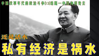 中国改革年代的政治斗争13 私有经济是祸水 还是活水 [upl. by Romney729]